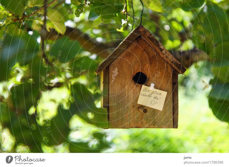 to the info Tree Leaf House (Residential Structure) Hut Signage Warning sign Living or residing Rustic Birdhouse Piece of paper Information Colour photo