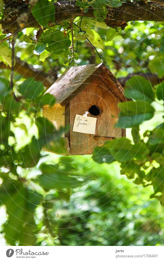 I'm in the garden! Tree Leaf Garden Park House (Residential Structure) Hut Piece of paper Wood Nature Living or residing Information Leisure and hobbies