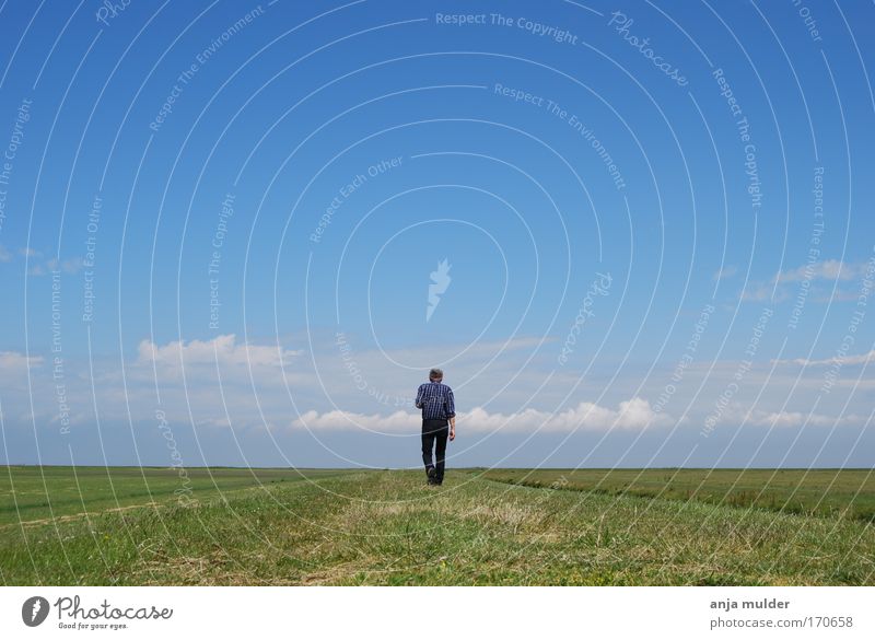 Lonely walk Colour photo Exterior shot Day Central perspective Rear view Human being Man Adults Life 1 Environment Nature Landscape Earth Horizon Field Movement