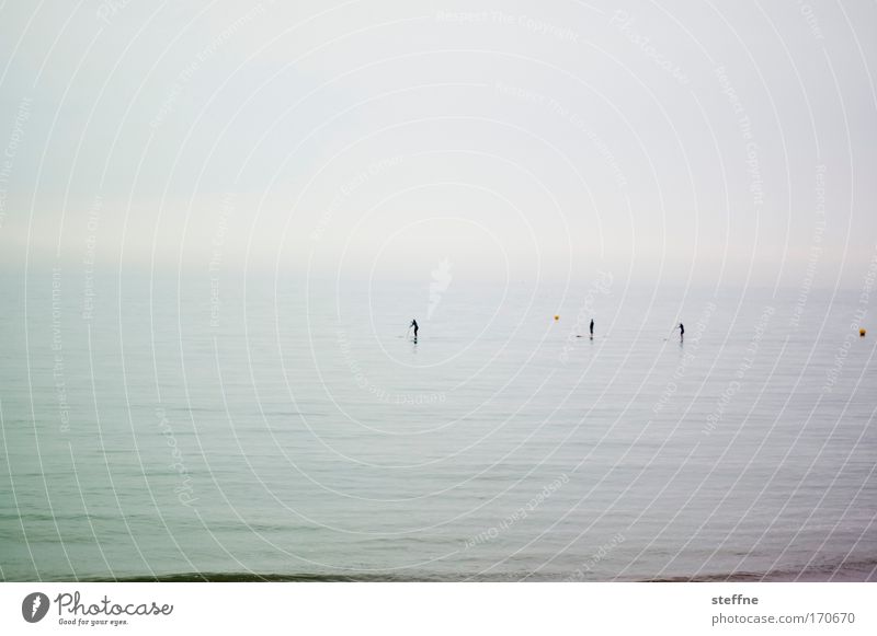 silence Subdued colour Exterior shot Copy Space top Copy Space bottom Neutral Background Dawn Twilight Fog North Sea Baltic Sea Ocean Boating trip Breathe