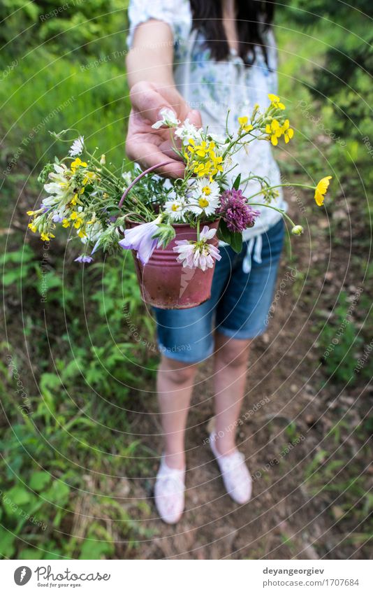Woman collects flowers Beautiful Summer Garden Gardening Girl Adults Nature Plant Flower Grass Meadow Dress Hair Bouquet Cute Wild Green young collecting spring