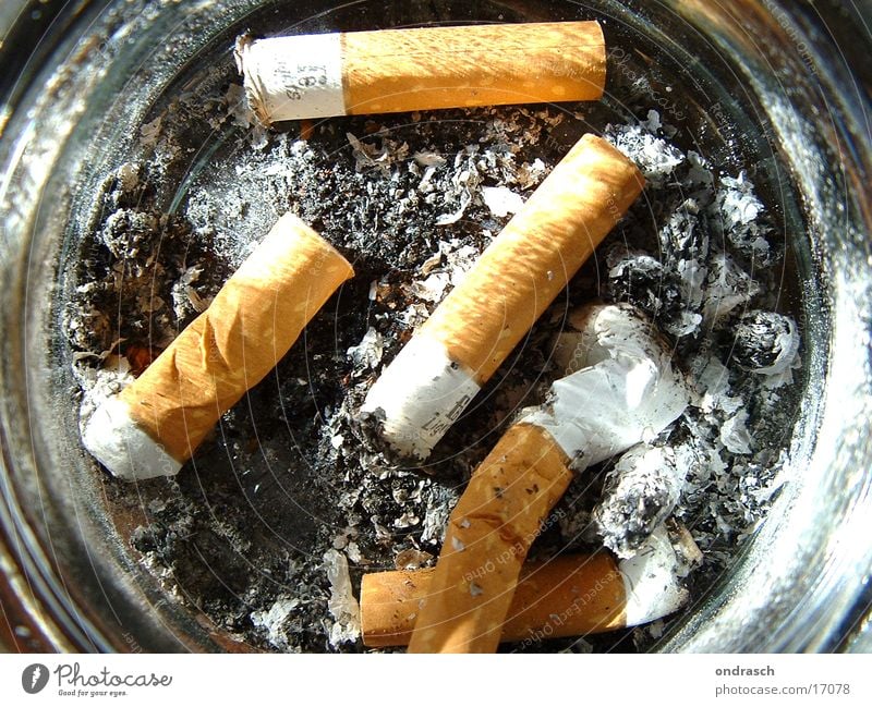 fag ends Cigarette Ashtray Things Smoking Cigarette Butt Filter-tipped cigarette Ashes Bird's-eye view Partially visible Section of image