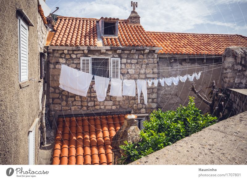 Dubrovnik II Vacation & Travel Tourism City trip Summer Plant Tree Croatia Port City Old town Populated House (Residential Structure) Building Architecture
