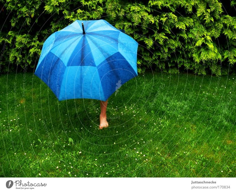 terrible weather Umbrella Umbrellas & Shades Rain Wet Bad weather guard sb./sth. Protection Safety (feeling of) Garden Meadow Lawn Grass stretch spanned