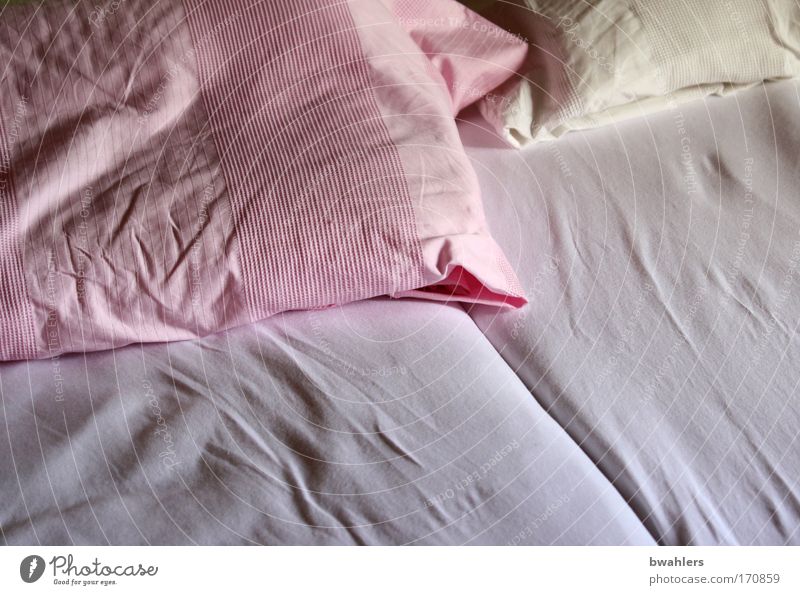 Sunday morning Colour photo Interior shot Deserted Morning Bed Relaxation Sleep Living or residing Happy Soft Pink Calm Peace Life Day