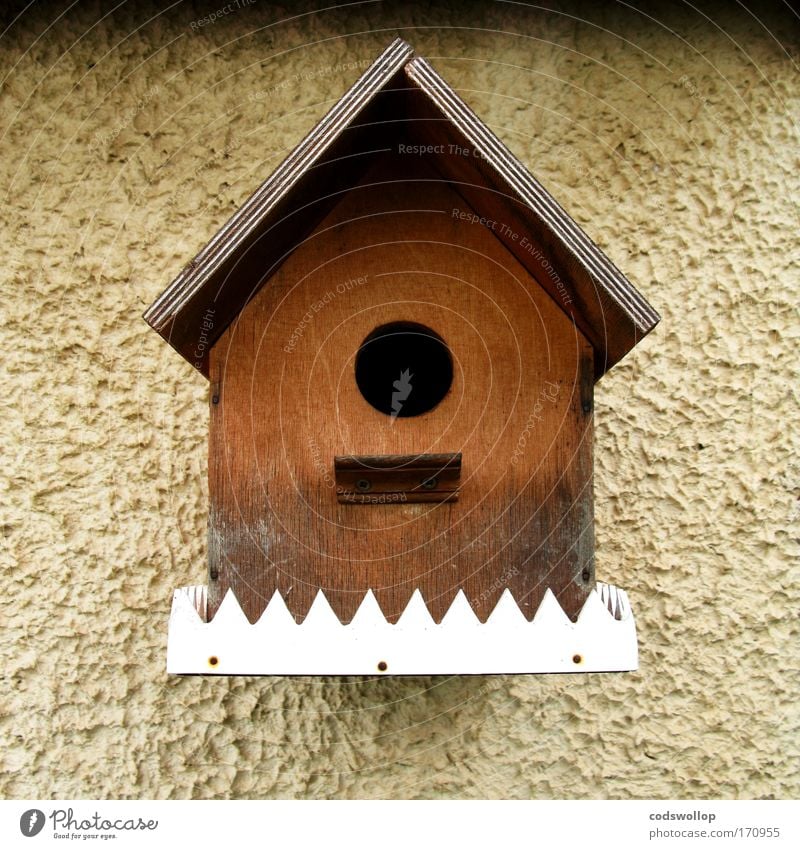 make a little birdhouse in your soul Exterior shot Old town Facade Bird Wood Birdhouse Garden Flat (apartment) weekend house one-room apartment Nesting box