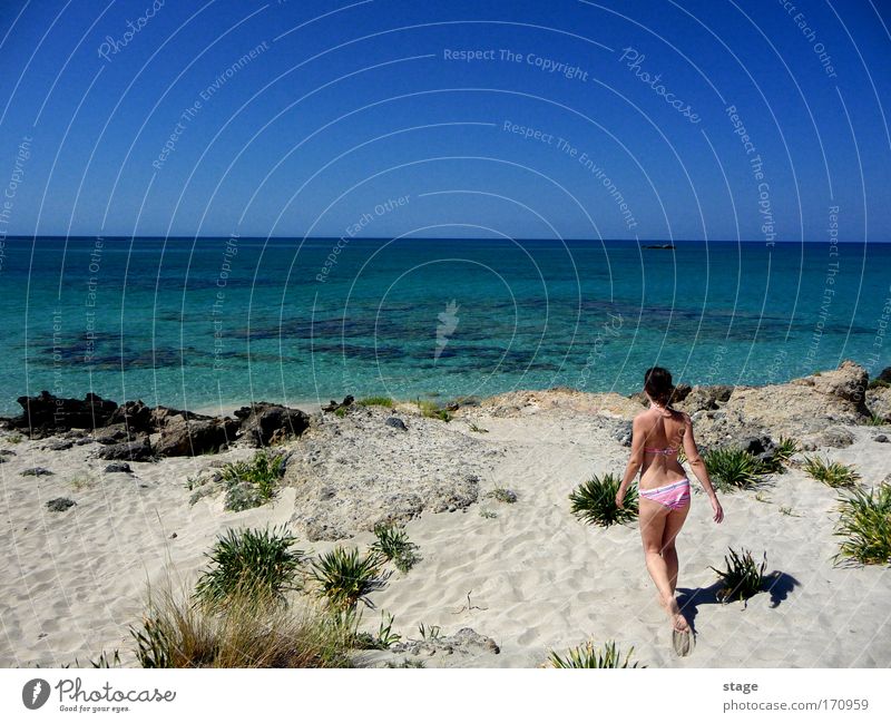 In paradise Colour photo Exterior shot Copy Space left Copy Space middle Day Sunlight Forward Summer Beach Ocean Feminine Young woman Youth (Young adults) 1