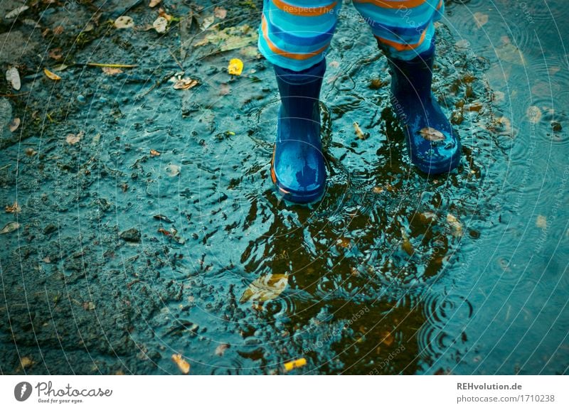 puddle fun Human being Masculine Child Toddler Boy (child) Feet 1 1 - 3 years Rubber boots Water Playing Happiness Happy Small Wet Natural Joy Contentment