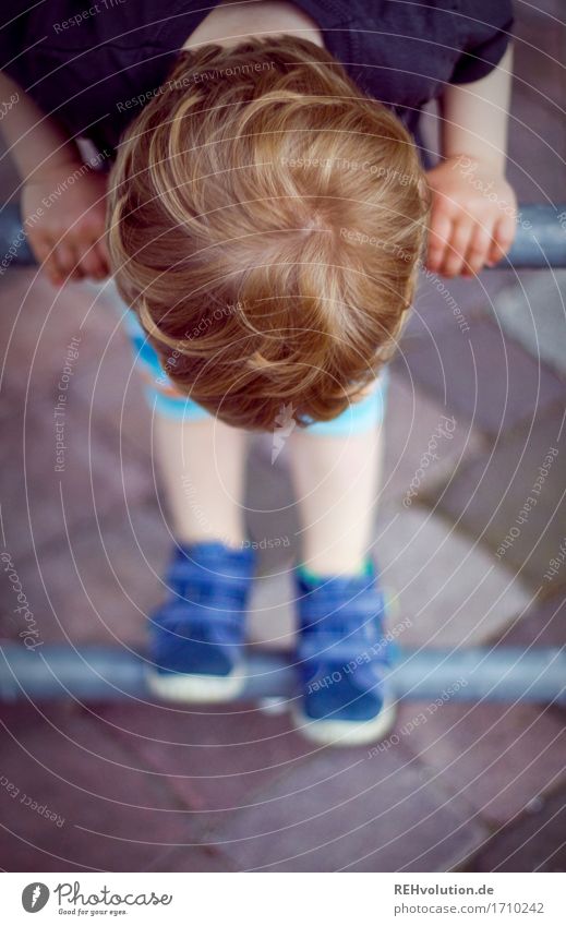climbing Human being Masculine Child Toddler Boy (child) Head Hair and hairstyles 1 1 - 3 years Playing Small Curiosity Cute Contentment Infancy Exterior shot