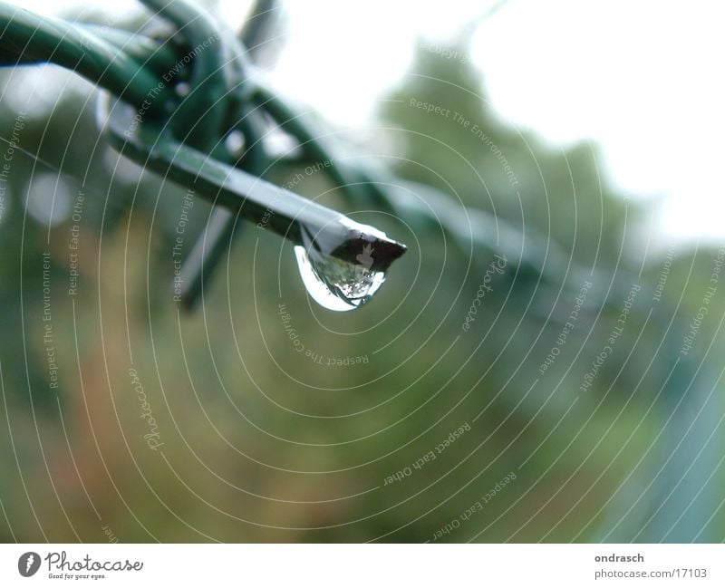rainy day Fence Barbed wire Border Green Captured Grief Converse Wire Iron Drops of water Rain Water Point Barrier