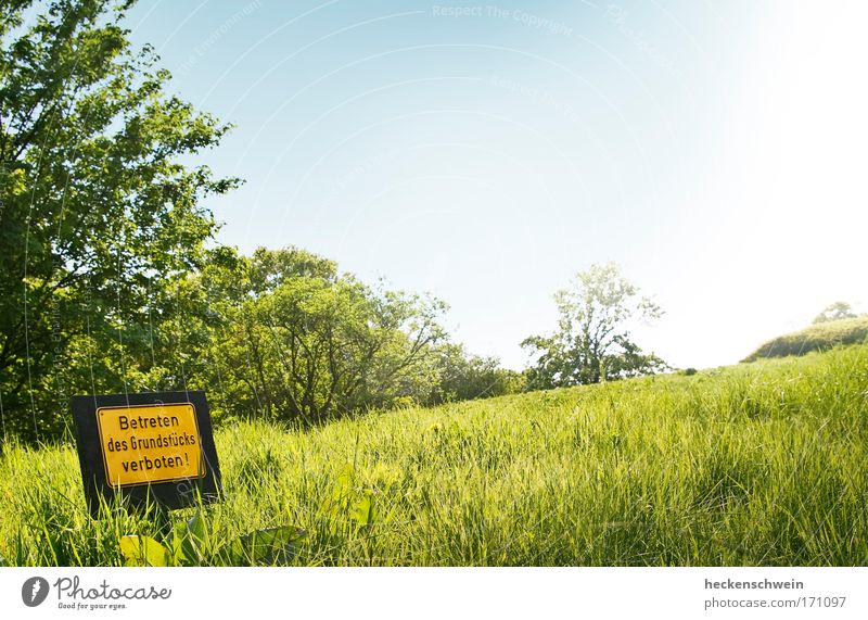 The sky is just around the corner Harmonious Summer Nature Landscape Beautiful weather Grass Park Hill Sign Characters Signs and labeling Signage Warning sign