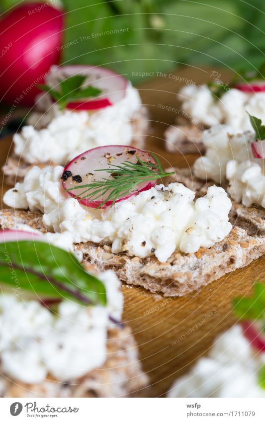 Crispbread with cottage cheese radishes and herbs Herbs and spices Wood Blue Radish Chives Dill Parsley beetroot leaves Wooden board Snack healthy snack vital