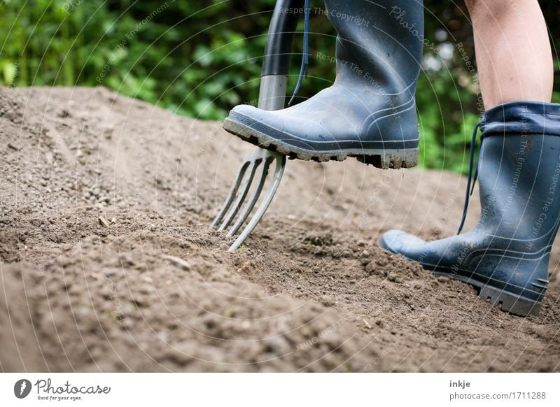 Dig up some shit! Gardening Adults Life Feet 1 Human being Earth Summer Beautiful weather Rubber boots Gardening equipment digging fork Diligent Colour photo
