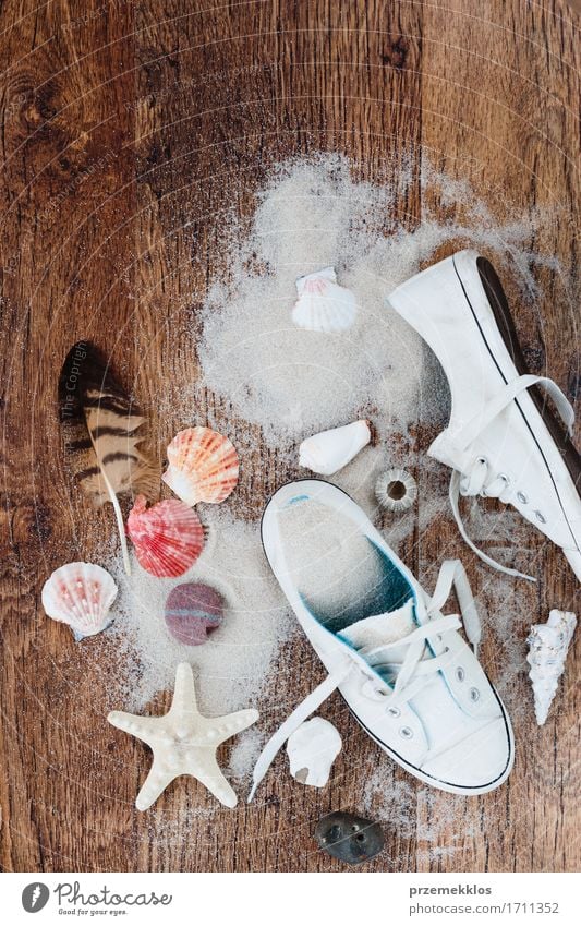Treasures from a beach Vacation & Travel Summer Summer vacation Beach Ocean Sand Footwear Sneakers Souvenir Wood Brown background Copy Space Feather holiday
