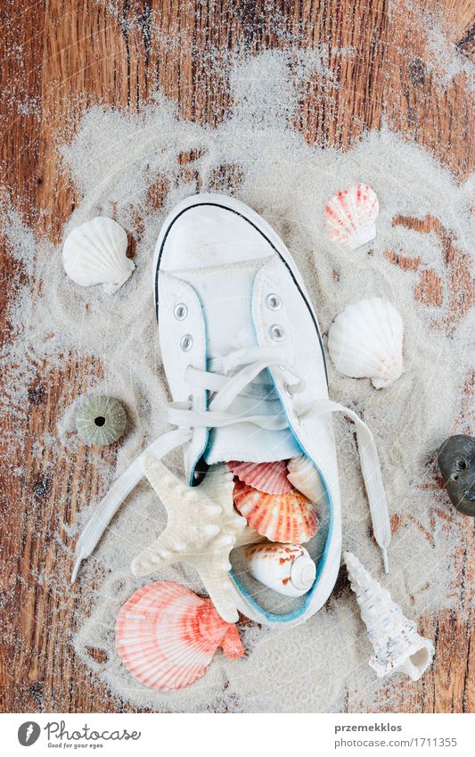 Treasures from a beach Vacation & Travel Summer Summer vacation Ocean Sand Footwear Sneakers Souvenir Wood Brown background Copy Space holiday overhead Shell