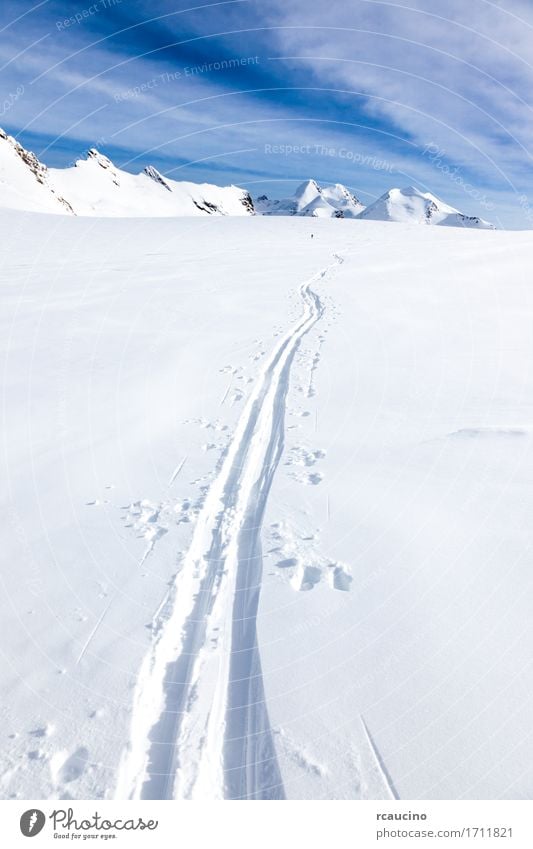 Ski tracks on glacier Monte Rosa Switzerland Beautiful Vacation & Travel Tourism Adventure Expedition Winter Snow Mountain Sports Skiing Human being Nature