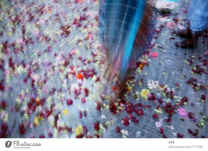 Broken Flowers Blossom Cloth Costume Street Multicoloured Gray Blue Red Footwear Feasts & Celebrations Movement Blur