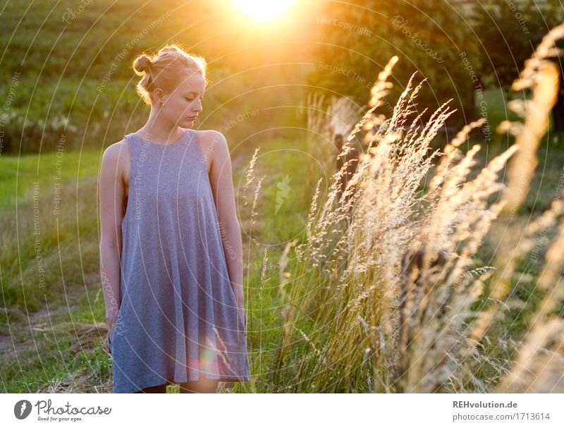 Alexa in the evening light. Summer Feminine Young woman Youth (Young adults) 1 Human being 18 - 30 years Adults Environment Nature Landscape Meadow Field Dress