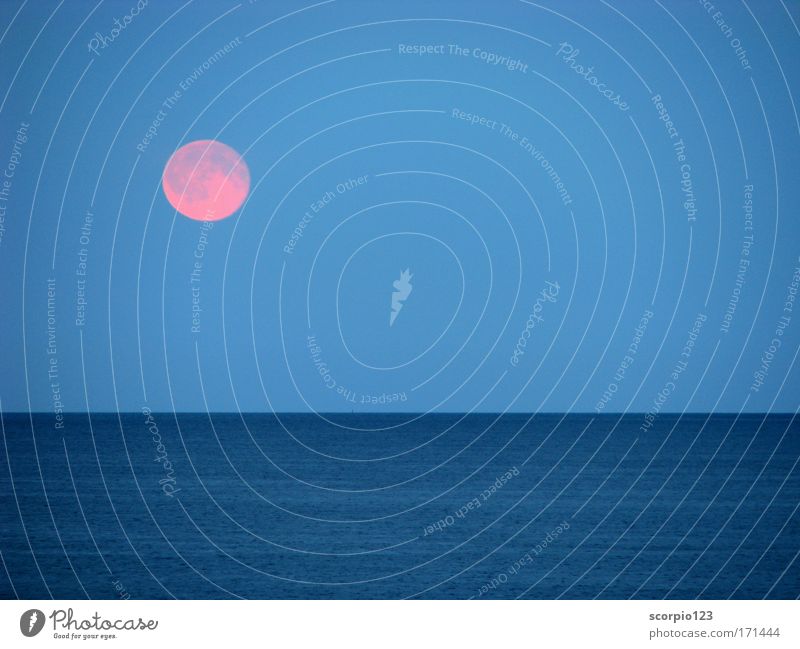 Moonrise at the sea Colour photo Exterior shot Deserted Twilight Long shot Nature Water Sky Full  moon Ocean Blue Contentment Calm Wanderlust Power Day