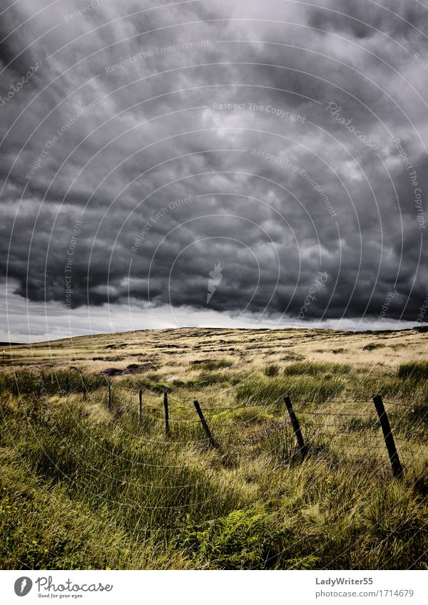 Atmospheric Moorland Environment Nature Landscape Sky Clouds Climate Weather Storm Rain Grass Meadow Dark Natural Gloomy Gray Green Moody Fear Horror Dangerous