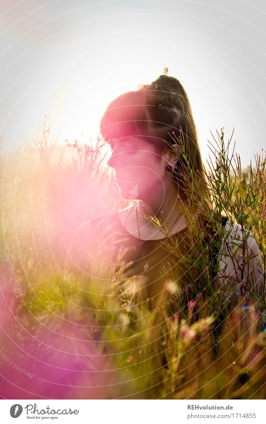Carina in the evening light. Style Happy Human being Feminine Young woman Youth (Young adults) 1 18 - 30 years Adults Environment Nature Sunlight Summer Flower