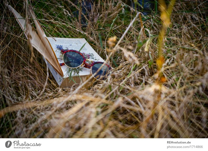 Book and sunglasses in the grass Study Environment Nature Grass Meadow Eyeglasses Reading Natural Education Leisure and hobbies Colour photo Subdued colour