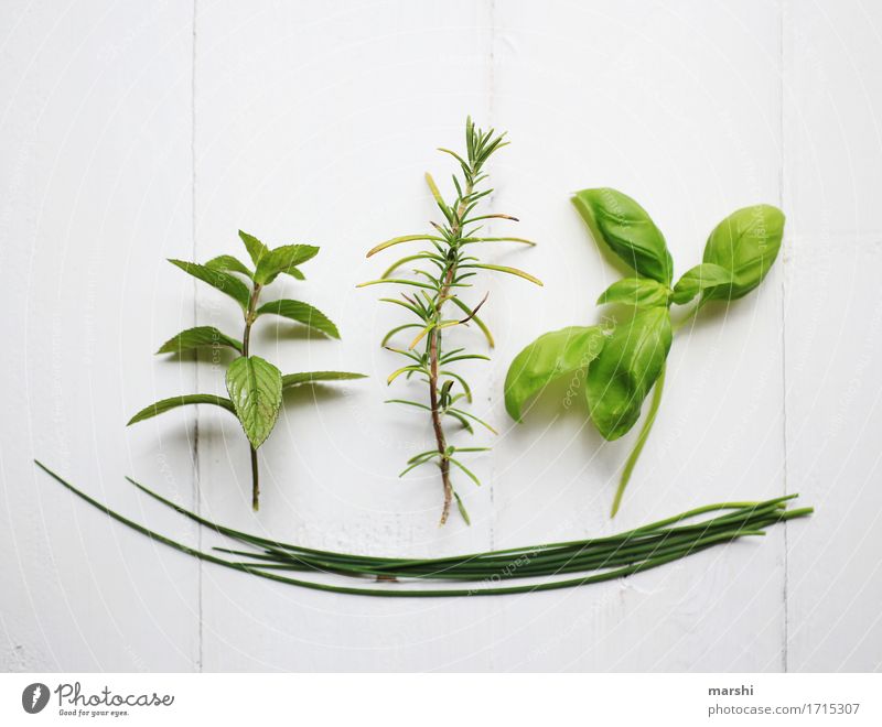 herbalism Nature Plant Green Herbs and spices Rosemary Mint Basil Chives Isolated Image Spicy Tasty Colour photo Interior shot Detail Arranged Picked Difference