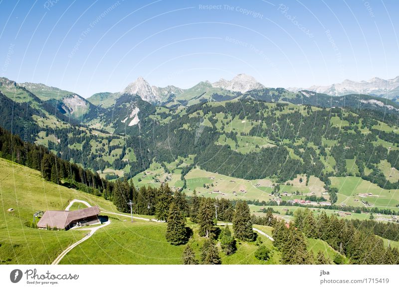 Flight to Gstaad II Lifestyle Harmonious Well-being Contentment Relaxation Calm Leisure and hobbies Trip Adventure Far-off places Freedom Paragliding