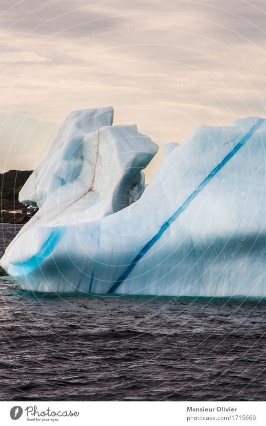 Iceberg, Twillingate Environment Nature Landscape Climate Frost Ocean Cold Blue Canada twillingate Newfoundland Structures and shapes Colour photo Exterior shot