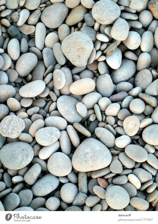 pebble beach Exterior shot Detail Macro (Extreme close-up) Structures and shapes Deserted Neutral Background Dawn Day Light (Natural Phenomenon) Sunlight