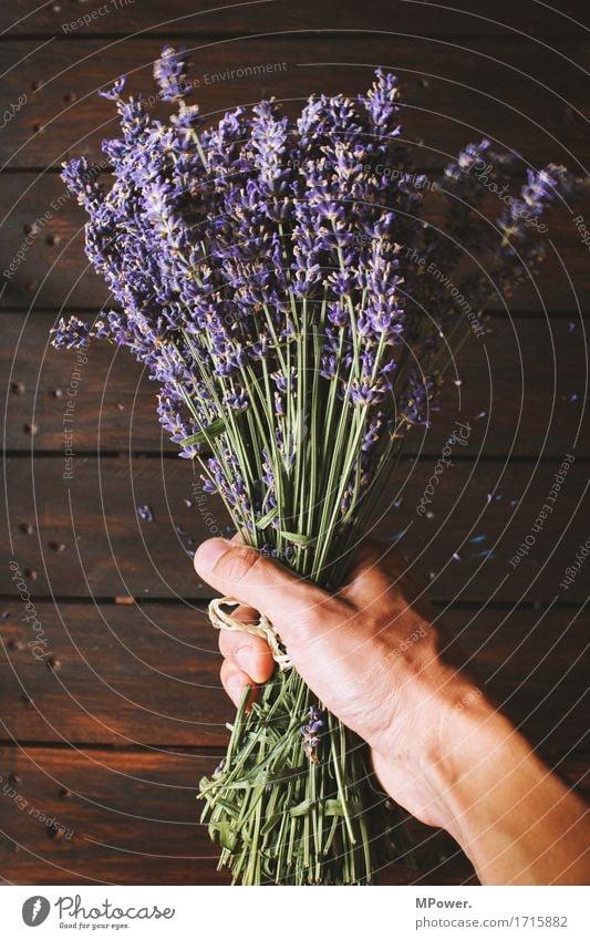 lavender Lavender Violet Bouquet Ground Bundle Flower Plant Cooking oil Odor Fresh Healthy Health care Cut Decoration Hand To hold on Wood Wooden table Brown