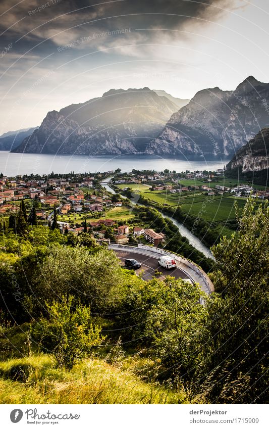 Panoramic road at Lake Garda Vacation & Travel Tourism Trip Adventure Far-off places Freedom Sightseeing Summer vacation Environment Nature Landscape Plant