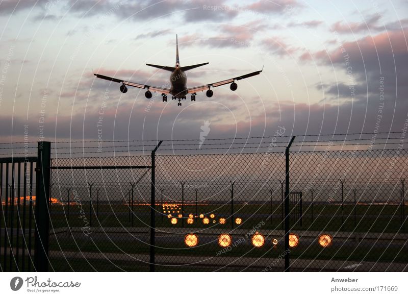 Aircraft landing in Frankfurt Aerial photograph Deserted Sunrise Sunset Vacation & Travel Tourism Far-off places Freedom City trip Summer vacation Workplace
