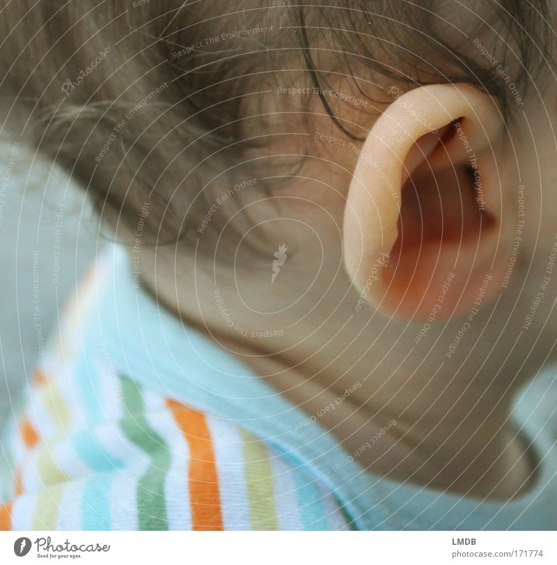 Listen! Colour photo Exterior shot Looking away Parenting Child Human being Masculine Toddler Boy (child) Skin Head Hair and hairstyles Ear 1 1 - 3 years
