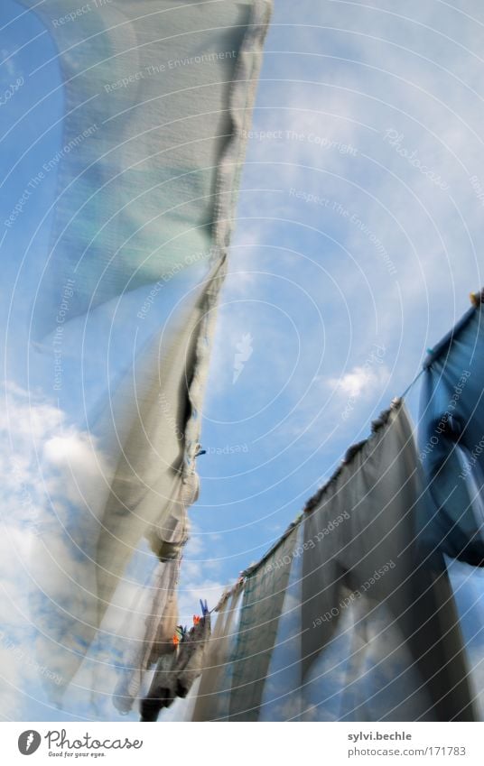 windswept Sky Clouds Summer Climate Wind Garden Pants Movement Flying Fresh Cleanliness Purity Laundry Clothesline Clothes peg Wind speed Rope Towel Underpants