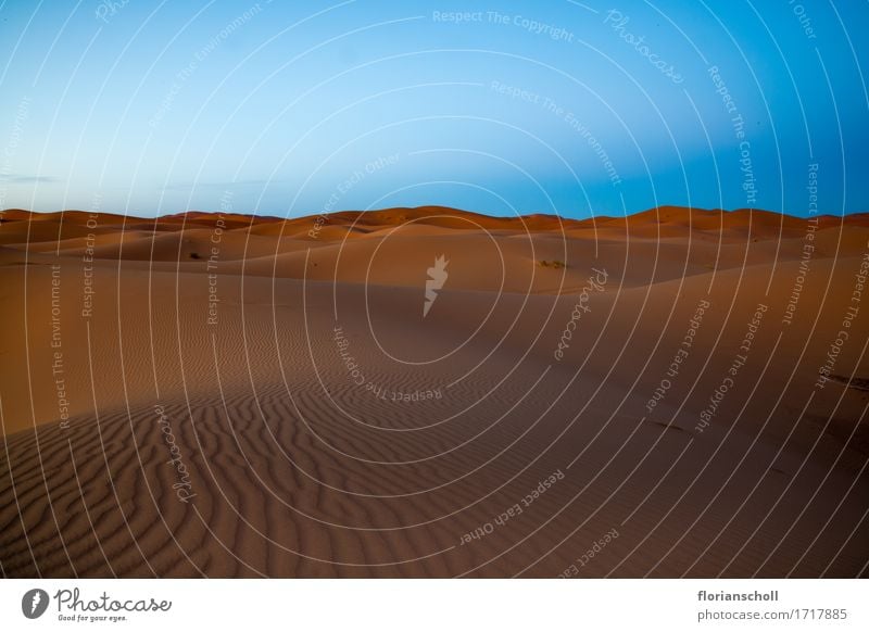 Sahara Desert Vacation & Travel Nature Sand Dry Emotions adventure Africa blue desert dune golden hot hill landscape Merzouga Moroccan morocco oriental sky