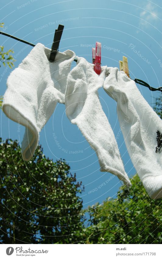 And there they hang Colour photo Environment Nature Garden Stockings Hot Exceptional Day