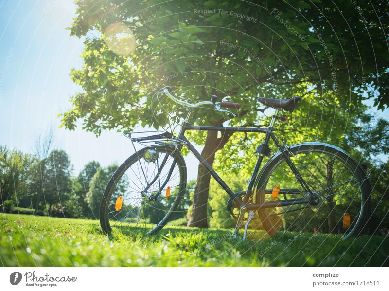 Bicycle romance Healthy Wellness Life Relaxation Calm Vacation & Travel Trip Freedom Summer Summer vacation Sun Cycling Environment Nature Climate Tree Bushes