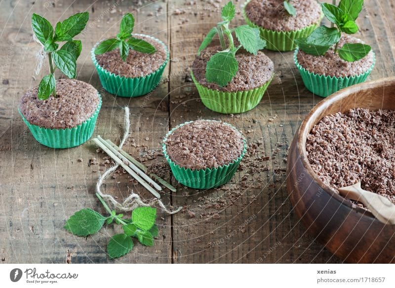 Muffins with cake and herbs like in the nursery Cake Chocolate cake Dough Baked goods Candy Herbs and spices Mint Lemon Balm Chocolate crumble Sugar