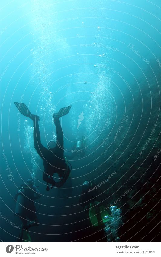 PRESSURE COMPARISON pressure equalization Maldives Dive Diver triton tila Angaga Ari Atoll Vacation & Travel Relaxation Discover Adventure Underwater photo Reef