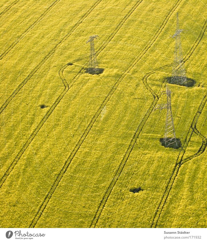 rapeseed energy Black & white photo Aerial photograph Deserted Copy Space left Copy Space top Copy Space bottom Copy Space middle Day Contrast Silhouette