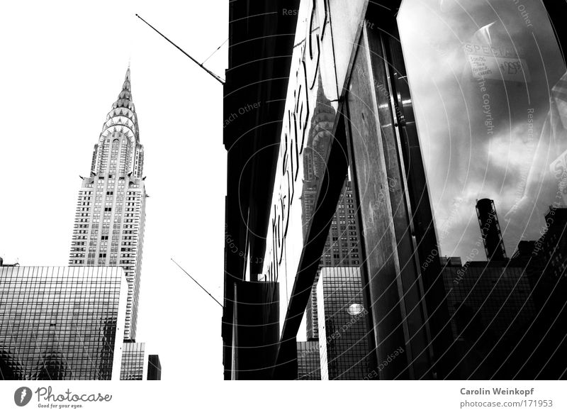 Grand Central. Black & white photo Exterior shot Deserted Copy Space left Day Light Shadow Contrast Silhouette Reflection Deep depth of field Worm's-eye view