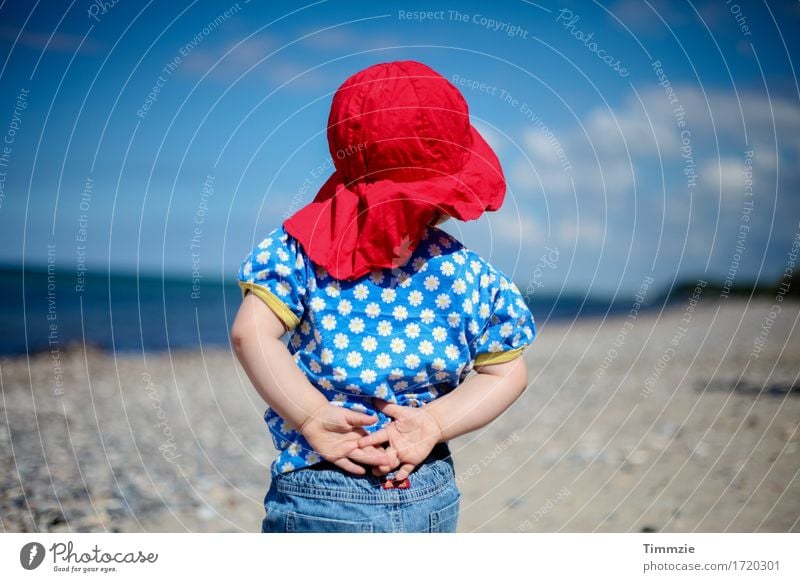 wanderlust Happy Leisure and hobbies Vacation & Travel Far-off places Freedom Summer vacation Sun Beach Ocean Toddler 1 Human being 1 - 3 years Baltic Sea