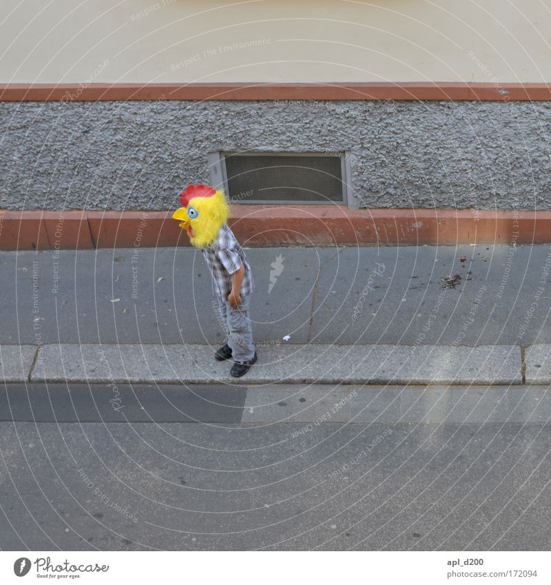 Crazy chicken Colour photo Exterior shot Copy Space left Copy Space right Copy Space top Copy Space bottom Day Looking away Human being Masculine 1 Old town