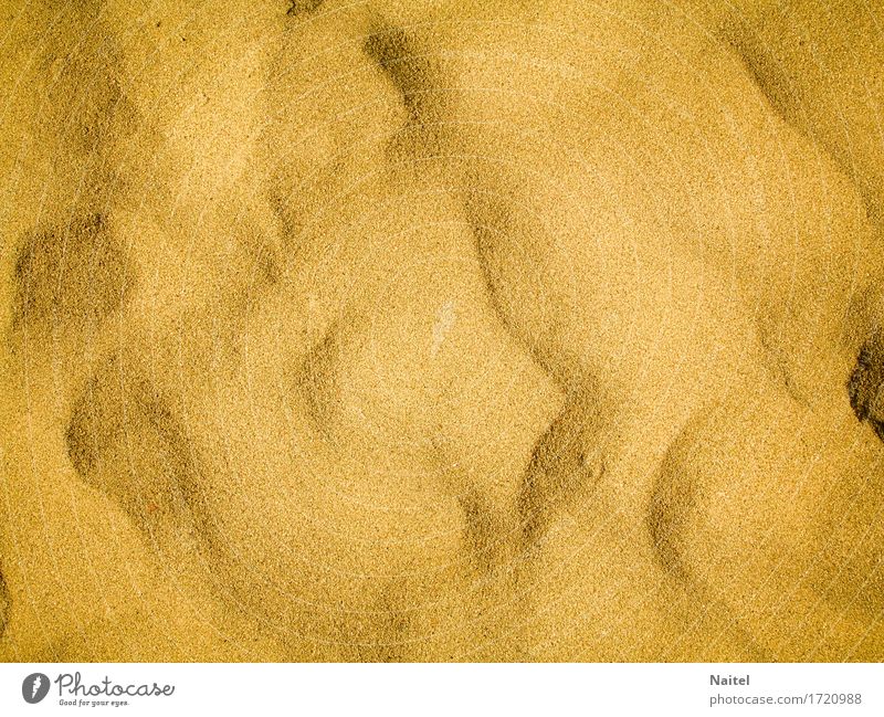 The sand on the beach Summer Beach Ocean Sand Yellow background dust grail Powder Colour photo Macro (Extreme close-up) Deserted Day