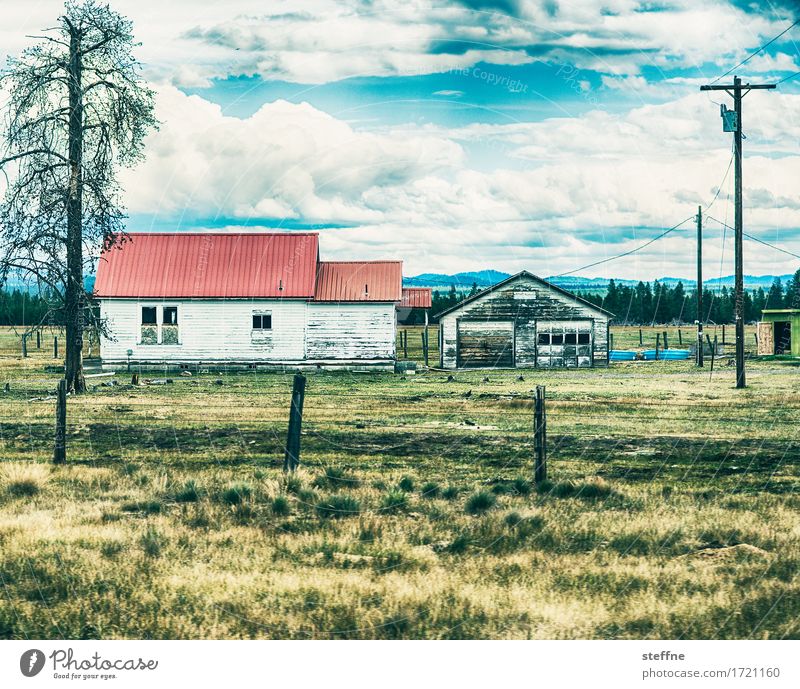 farm House (Residential Structure) Hut Gloomy Dry USA Oregon Farm Agriculture Colour photo Exterior shot Copy Space top Copy Space bottom