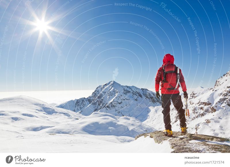 Mountaineer reaches the top of a snowy mountain Adventure Expedition Sun Winter Snow Sports Climbing Mountaineering Success Man Adults Nature Landscape Sky Alps