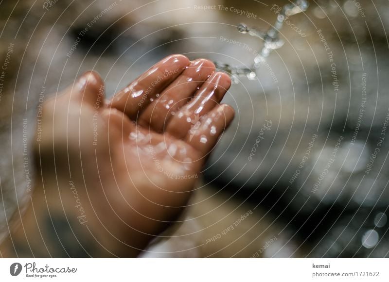 Swabian countryside | Water feature Playing Trip Adventure Human being Life Hand Fingers Palm of the hand 1 Drops of water Brook Throw Happiness Glittering Cold