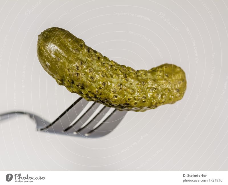 gherkins Food Vegetable Eating Fork Sign Delicious Sour Green White Competent Fiasco Cucumber Impaled concept lame sluggish Colour photo Close-up Abstract