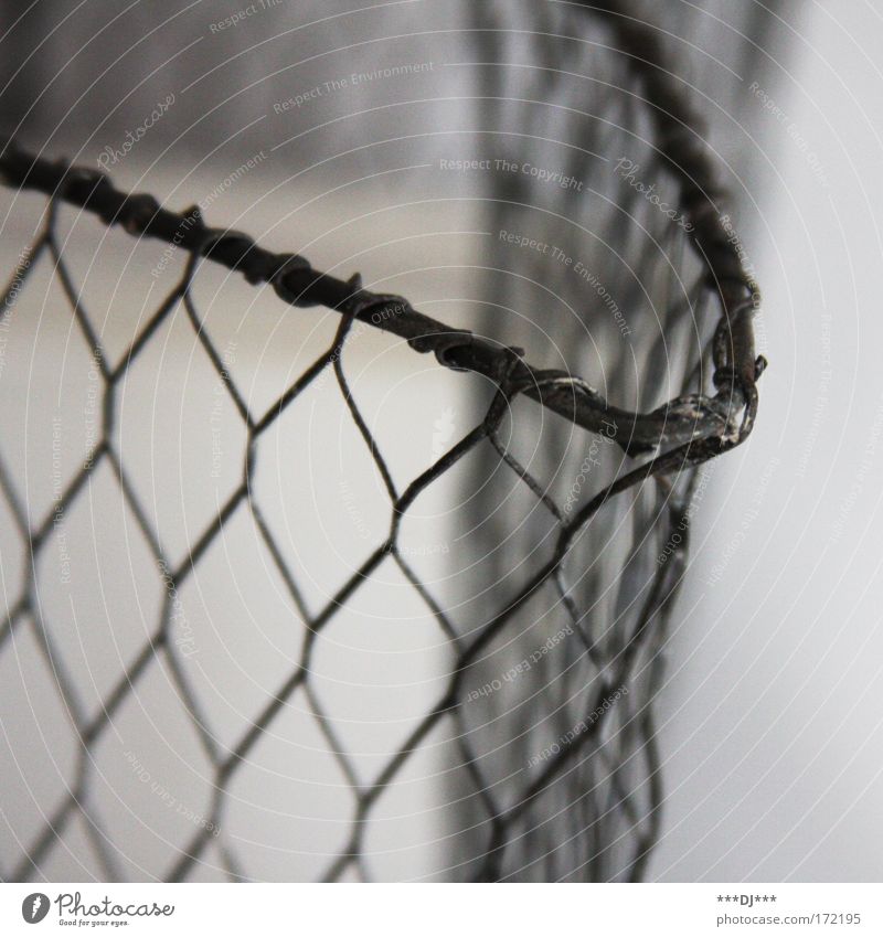 grid fence Colour photo Interior shot Close-up Detail Macro (Extreme close-up) Abstract Structures and shapes Deserted Neutral Background Day Shadow Contrast